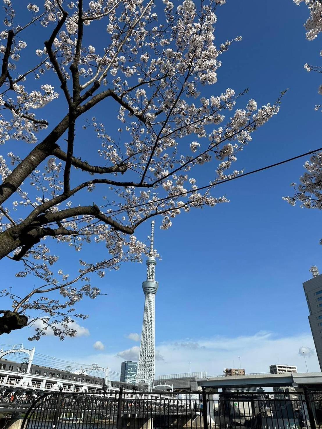 東京雷門ー千の森asakusa Tóquio Exterior foto